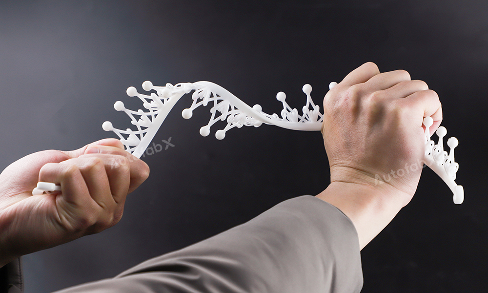 Organic-Shaped Structure Printed in TPU